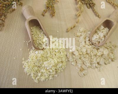 Flocons de millet et flocons de riz Banque D'Images