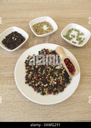 Mélange coloré de poivre sur une assiette Banque D'Images