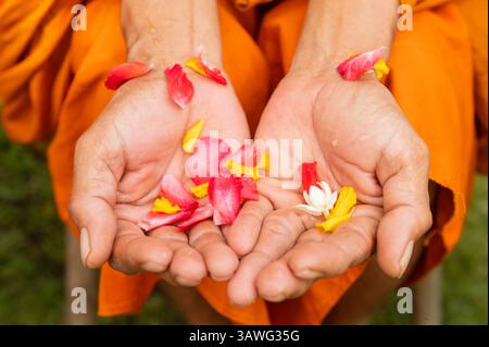 Gros plan main de moine bouddhiste attendre que les gens versent de l'eau sur le festival Songkran Banque D'Images
