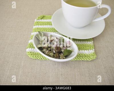 Thé à base de feuilles de mûre séchées et de fleurs de mûre Banque D'Images