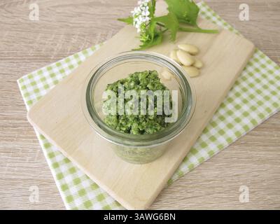 Pesto aux herbes sauvages, roquette à l'ail et aux amandes Banque D'Images