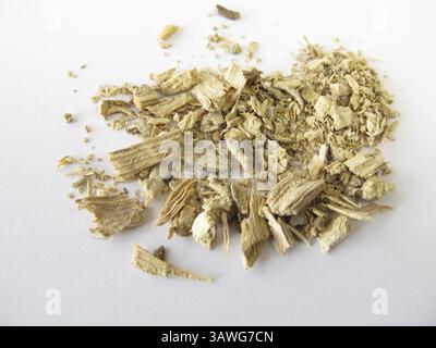 Porte-greffes kava kava, rhizome kava kava Banque D'Images