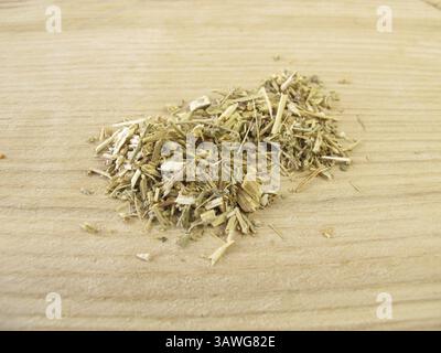 Herbe d'armoise, Absinthii herba Banque D'Images