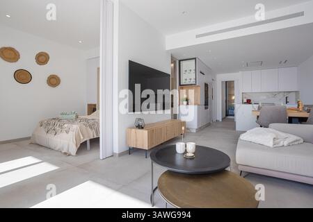 Cet appartement spacieux à aire ouverte dispose d''un coin salon, d''une cuisine et d''une chambre avec un mobilier moderne et des tons clairs chaleureux. Banque D'Images