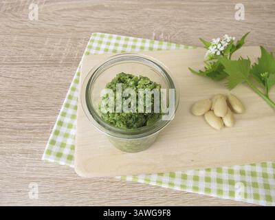 Pesto aux herbes sauvages, roquette à l'ail et aux amandes Banque D'Images