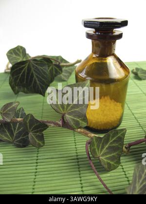 Globules homéopathiques et lierre Banque D'Images
