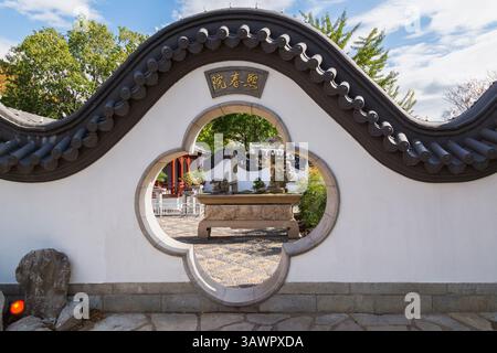 Mur avec porte d'entrée menant à l'exposition d'arbres de bonsaï dans la cour intérieure du pavillon du hall de l'amitié dans le jardin chinois en automne. Banque D'Images