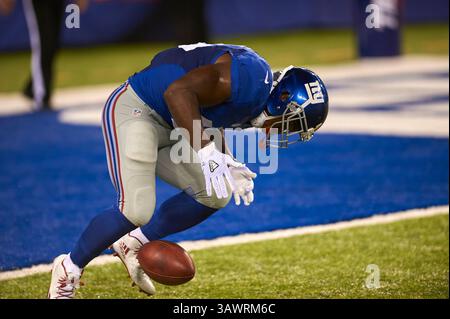 13 août 2016 - East Rutherford, New Jersey, États-Unis - Bobby Rainey (43 ans) perd le contrôle d'un punt lors d'une action de pré-saison entre les Dolphins de Miami et les Giants de New York au MetLife Stadium à East Rutherford, New Jersey. Les Dolphins ont battu les Giants 27-10. Duncan Williams/CSM(image de crédit : &copy ; Duncan Williams/Cal Sport Media via ZUMA Wire) Banque D'Images