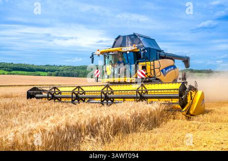 Moissonneuse-batteuse New Holland CR9080 récoltant du blé d'été dans la région sud-Touraine du centre de la France. Banque D'Images