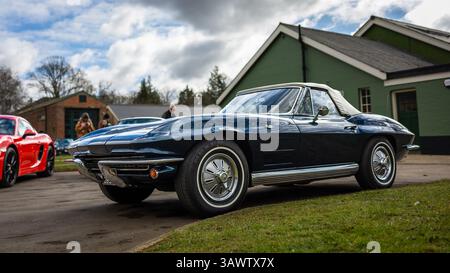 Corvette Stingray 1964, Banque D'Images