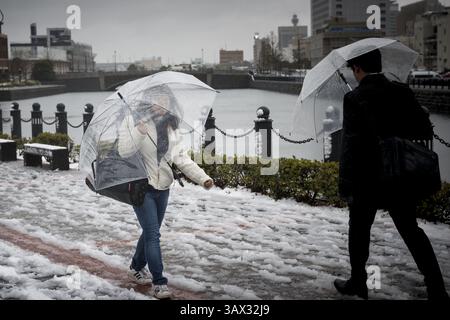 17 janvier 2016 - Tokyo, Japon - la neige est tombée dans certaines parties de l'est et du nord-est du Japon tôt lundi, avec des chutes de neige atteignant 6 centimètres dans le centre-ville de Tokyo et des systèmes de transport perturbés. La neige a temporairement mis à rude épreuve les services de trains à grande vitesse sur la ligne Tokaido Shinkansen et a entraîné la suspension de l'exploitation de trains express limités reliant Tokyo et Nagano et l'annulation de certains vols intérieurs. (Crédit image : © Alessandro Di Ciommo via ZUMA Wire) Banque D'Images