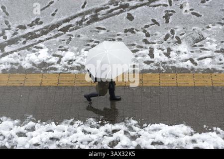 17 janvier 2016 - Tokyo, Japon - la neige est tombée dans certaines parties de l'est et du nord-est du Japon tôt lundi, avec des chutes de neige atteignant 6 centimètres dans le centre-ville de Tokyo et des systèmes de transport perturbés. La neige a temporairement mis à rude épreuve les services de trains à grande vitesse sur la ligne Tokaido Shinkansen et a entraîné la suspension de l'exploitation de trains express limités reliant Tokyo et Nagano et l'annulation de certains vols intérieurs. (Crédit image : © Alessandro Di Ciommo via ZUMA Wire) Banque D'Images