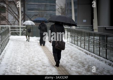 17 janvier 2016 - Tokyo, Japon - la neige est tombée dans certaines parties de l'est et du nord-est du Japon tôt lundi, avec des chutes de neige atteignant 6 centimètres dans le centre-ville de Tokyo et des systèmes de transport perturbés. La neige a temporairement mis à rude épreuve les services de trains à grande vitesse sur la ligne Tokaido Shinkansen et a entraîné la suspension de l'exploitation de trains express limités reliant Tokyo et Nagano et l'annulation de certains vols intérieurs. (Crédit image : © Alessandro Di Ciommo via ZUMA Wire) Banque D'Images