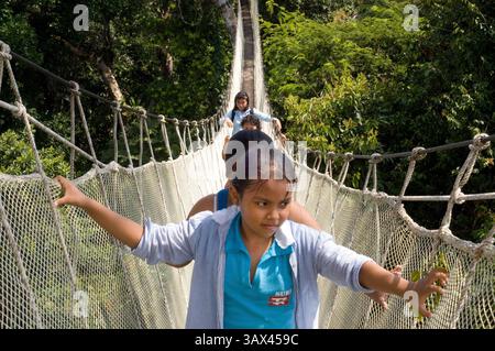 8 mars 2016 - Pérou - les visiteurs ont une vue d'oiseau de la passerelle de la canopée de la jungle amazonienne au camp de napo de la rivière Explorama tours au Pérou. Iquitos, Loreto, Pérou. L'Amazone Canopy Walkway, l'un des ponts suspendus les plus longs au monde, qui permettra aux principaux animaux de la forêt d'une hauteur de 37 mètres et est suspendu au-dessus des 14 arbres les plus hauts de la région. (Crédit image : © Sergi Reboredo/ZUMA Wire/ZUMAPRESS.com) Banque D'Images