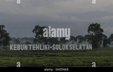 29 août 2016 - Sumatera Ouest, Sumatera Ouest, Indonésie - Padang, Sumatera Ouest, 29 août 2016 : les gens et la beauté de sumatera Ouest. Sumatra Ouest (en indonésien : Sumatera Barat, en abrégé Sumbar, Minangkabau : Sumatera Baraik) est une province de l'Indonésie. Il se trouve sur la côte ouest de l'île de Sumatra. La dernière estimation officielle pour janvier 2014 fait état d'une population de 5 098 790 habitants. Sumatra Ouest est subdivisé en 12 régences et sept villes. Elle compte relativement plus de villes que d'autres provinces d'Indonésie, à l'exception de la province de Java. Sa capitale est Padang. (Crédit image : © Donal Husni vi Banque D'Images