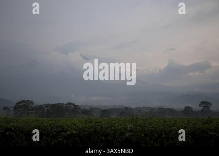 29 août 2016 - Sumatera Ouest, Sumatera Ouest, Indonésie - Padang, Sumatera Ouest, 29 août 2016 : les gens et la beauté de sumatera Ouest. Sumatra Ouest (en indonésien : Sumatera Barat, en abrégé Sumbar, Minangkabau : Sumatera Baraik) est une province de l'Indonésie. Il se trouve sur la côte ouest de l'île de Sumatra. La dernière estimation officielle pour janvier 2014 fait état d'une population de 5 098 790 habitants. Sumatra Ouest est subdivisé en 12 régences et sept villes. Elle compte relativement plus de villes que d'autres provinces d'Indonésie, à l'exception de la province de Java. Sa capitale est Padang. (Crédit image : © Donal Husni vi Banque D'Images
