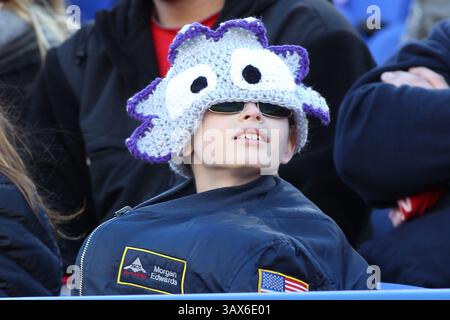 30 décembre 2016 - Memphis, Tennessee, États-Unis - 30 décembre 2016 : les fans de TCU à l'AutoZone Liberty Bowl dans le Liberty Bowl Memorial Stadium à Memphis, Tennessee. ©Justin Manning/Eclipse Sportswire/Cal Sport Media(image de crédit : &copy ; Justin Manning/CSM via ZUMA Wire) Banque D'Images
