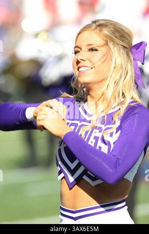 30 décembre 2016 - Memphis, Tennessee, États-Unis - 30 décembre 2016 : cheerleader TCU se produit à la mi-temps de l'AutoZone Liberty Bowl dans le Liberty Bowl Memorial Stadium à Memphis, Tennessee. ©Justin Manning/Eclipse Sportswire/Cal Sport Media(image de crédit : &copy ; Justin Manning/CSM via ZUMA Wire) Banque D'Images
