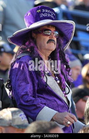30 décembre 2016 - Memphis, Tennessee, États-Unis - 30 décembre 2016 : les fans de TCU à l'AutoZone Liberty Bowl dans le Liberty Bowl Memorial Stadium à Memphis, Tennessee. ©Justin Manning/Eclipse Sportswire/Cal Sport Media(image de crédit : &copy ; Justin Manning/CSM via ZUMA Wire) Banque D'Images