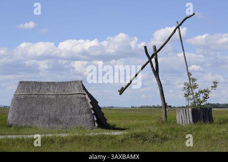 Cabane historique en roseaux à côté d'une simple vieille pompe à eau en bois Banque D'Images