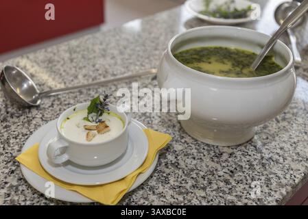 Grande tureen avec louche et soupe à la crème garnie dans une assiette à soupe Banque D'Images