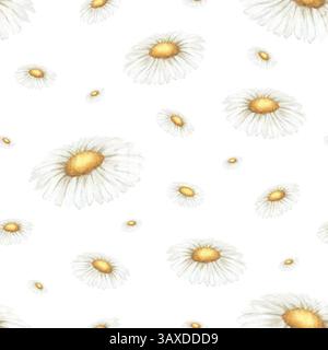 Camomille de fleurs sauvages. Motif d'aquarelle florale sans couture d'isolé du fond. Dessin à la main fleurs jaune-blanc de prairie pour impression de tissu, Banque D'Images