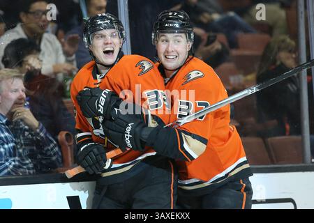 31 janvier 2017 : Jakob Silfverberg, aile droite des Ducks d'Anaheim, #33, célèbre son but avec Nick Ritchie, aile gauche des Ducks d'Anaheim, #37, en première période du match entre l'Avalanche du Colorado et les Ducks d'Anaheim, Honda Center à Anaheim, CA. Peter Joneleit /Cal Sport Media(crédit image : &copy ; Peter Joneleit/CSM via ZUMA Wire) Banque D'Images