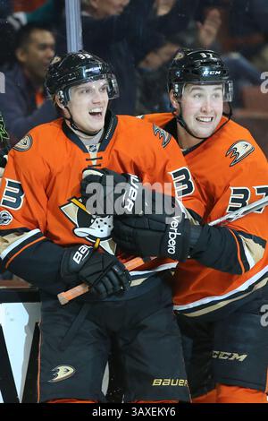 31 janvier 2017 : Jakob Silfverberg, aile droite des Ducks d'Anaheim, #33, célèbre son but avec Nick Ritchie, aile gauche des Ducks d'Anaheim, #37, en première période du match entre l'Avalanche du Colorado et les Ducks d'Anaheim, Honda Center à Anaheim, CA. Peter Joneleit /Cal Sport Media(crédit image : &copy ; Peter Joneleit/CSM via ZUMA Wire) Banque D'Images