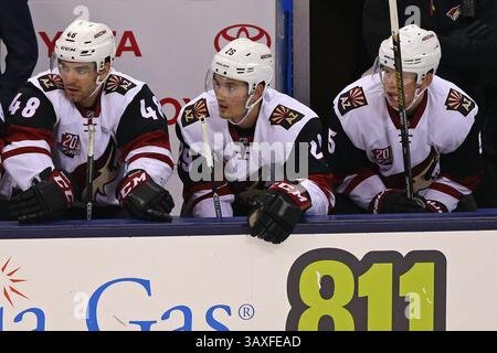 05 DÉCEMBRE 2016 : Jordan Martinook, aile gauche des Coyotes de l'Arizona, Brendan Perlini, au milieu, et le défenseur Connor Murphy, à droite, regardent sur le banc en première période lors d'un match de la LNH entre les Coyotes de l'Arizona et les Blue Jackets de Columbus au Nationwide Arena de Columbus, Ohio. Aaron Doster/CSM(image de crédit : &copy ; Aaron Doster/CSM via ZUMA Wire) Banque D'Images
