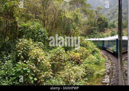 18 oct. 2016 - Pérou - sentier Inca. Pérou train de luxe de Cuzco à Machu Picchu. Orient Express. Belmond. Depuis l'itinéraire par lequel le train passe est possible de voir certaines parties du sentier Inca. Hiram Bingham Orient Express qui circule entre Cuzco et Machu Picchu. Le sentier Inca est de loin le trek le plus célèbre en Amérique du Sud et est classé par beaucoup comme étant dans le top 5 des treks dans le monde. En seulement 26 miles (43 km), il parvient à combiner de beaux paysages de montagne, une forêt de nuages luxuriants, une jungle subtropicale et, bien sûr, un mélange étonnant de pavés inca, de ruines et de tunnels. Destination finale de Banque D'Images