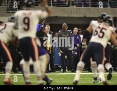 Janvier 1, 2017 - Minneapolis, MN, États-Unis - les Vikings du Minnesota blessés en courant de retour Adrian Peterson, au milieu, sur la ligne de touche à la fin du quatrième quart-temps contre les Bears de Chicago au U.S. Bank Stadium à Minneapolis le dimanche 1 janvier 2017. Les Vikings ont gagné, 38-10. (Crédit image : © Jeff Wheeler/TNS via ZUMA Wire) Banque D'Images