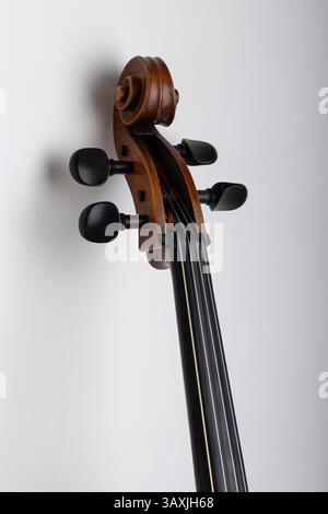 Gros plan de violoncelle Fingerboard et Tuning Pegs sur fond blanc Banque D'Images