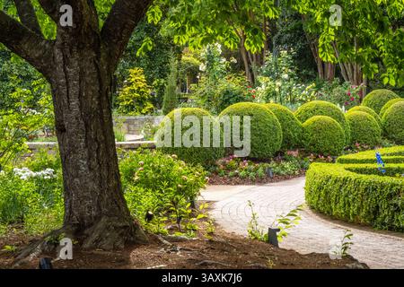 Printemps au jardin botanique d'Atlanta à Midtown Atlanta, Géorgie. (ÉTATS-UNIS) Banque D'Images