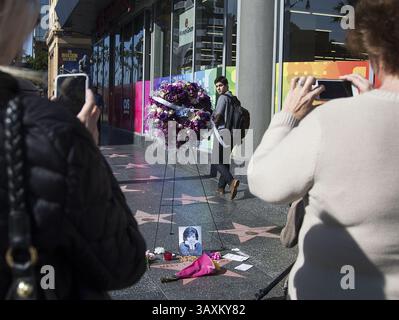 26 janvier 2017 - Hollywood, Californie, U. S - Un mémorial est placé sur la star du Hollywood Walk of Fame de l'actrice Mary Tyler Moore le 25 janvier 2017 à Hollywood, Californie. L'actrice Mary Tyler Moore est décédée mercredi dans un hôpital de Greenwich, Connecticut, elle avait 80 ans. (Crédit image : © Prensa Internacional via ZUMA Wire) Banque D'Images