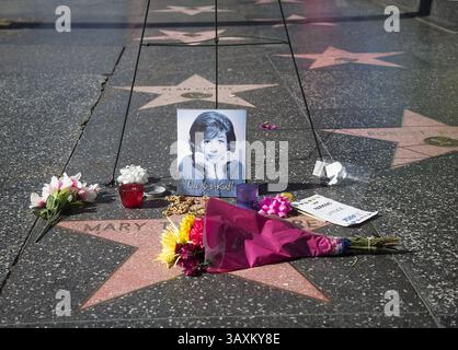 26 janvier 2017 - Hollywood, Californie, U. S - Un mémorial est placé sur la star du Hollywood Walk of Fame de l'actrice Mary Tyler Moore le 25 janvier 2017 à Hollywood, Californie. L'actrice Mary Tyler Moore est décédée mercredi dans un hôpital de Greenwich, Connecticut, elle avait 80 ans. (Crédit image : © Prensa Internacional via ZUMA Wire) Banque D'Images