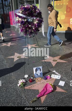 26 janvier 2017 - Hollywood, Californie, U. S - Un mémorial est placé sur la star du Hollywood Walk of Fame de l'actrice Mary Tyler Moore le 25 janvier 2017 à Hollywood, Californie. L'actrice Mary Tyler Moore est décédée mercredi dans un hôpital de Greenwich, Connecticut, elle avait 80 ans. (Crédit image : © Prensa Internacional via ZUMA Wire) Banque D'Images