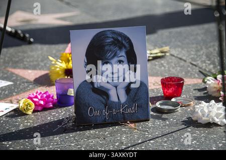 26 janvier 2017 - Hollywood, Californie, U. S - Un mémorial est placé sur la star du Hollywood Walk of Fame de l'actrice Mary Tyler Moore le 25 janvier 2017 à Hollywood, Californie. L'actrice Mary Tyler Moore est décédée mercredi dans un hôpital de Greenwich, Connecticut, elle avait 80 ans. (Crédit image : © Prensa Internacional via ZUMA Wire) Banque D'Images