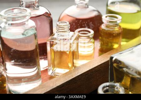 Bouteilles de parfum avec des huiles aromatiques sur fond, gros plan Banque D'Images