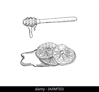 Miel bâton traditionnel avec goutte à goutte de sirop et pile de tranches d'agrumes dans l'illustration vectorielle dessinée à la main liquide peinte par des encres noires. Naturel sain Illustration de Vecteur