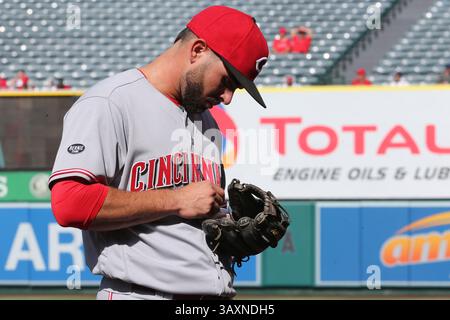 31 août 2016 : Jose Peraza, deuxième joueur des Cincinnati Reds, signe des autographes avant le match entre les Cincinnati Reds et les Los Angeles Angels d'Anaheim, Angel Stadium à Anaheim, CA, photographe : Peter Joneleit(Credit image : &copy ; Peter Joneleit/Cal Sport Media/Cal Sport Media via ZUMA Wire) Banque D'Images