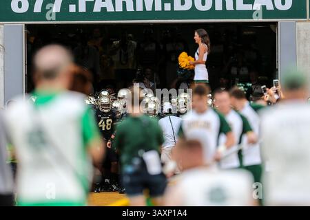 24 septembre 2016 - Waco, Texas, U. S - les Baylor Bears préparez-vous à l'action avant le match entre les Oklahoma State Cowboys et les Baylor Bears au stade McLane de Waco, Texas. (Crédit image : © Dan Wozniak via ZUMA Wire) Banque D'Images