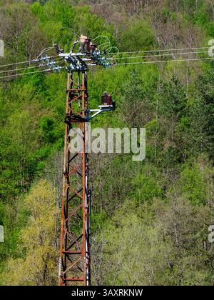 Une grande tour de transmission d'énergie se dresse bien en vue au milieu d'une forêt verte dense. La structure est équipée de composants électriques, mettant en valeur le c Banque D'Images