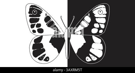 Papillon noir et blanc sur fond noir et blanc. Illustration vectorielle. Illustration de Vecteur