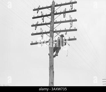 31 août 2016 - Telephone Company Lineman, Washington DC, USA, National photo Company, 1929 (crédit image : © Circa images/Glasshouse via ZUMA Wire) Banque D'Images
