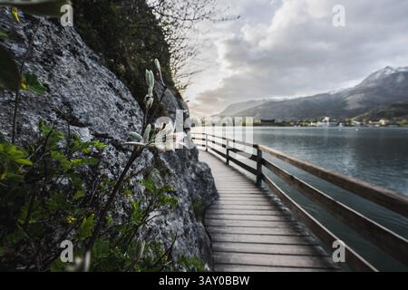 Bürglstein-Rundweg entlang des Ufers des Wolfgangsee zwischen Strobl und est Wolfgang mit Blick auf die umliegende Barglandschaft und Strobl zu Sonnenaufgang am 17.04.2025 // Bürglstein sentier circulaire le long de la rive du lac Wolfgang entre Strobl et Wolfgang avec vue sur le paysage environnant de barg et Strobl au lever du soleil sur 17.04.2025 - 20250417 PD17438 crédit : APA-PictureDesk/Alamy Live News Banque D'Images