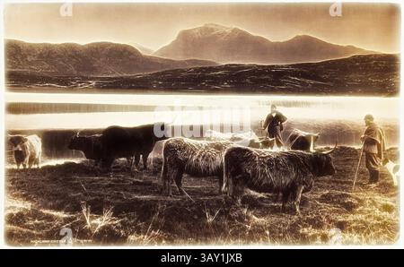 Les bovins des Highlands paissent paisiblement près d'un plan d'eau tranquille, tandis qu'une figure solitaire les tend sur un fond de montagnes majestueuses, encapsulant la beauté sereine de la vie rurale., inconnu (écossais), George Washington Wilson, écossais, 1823-1893, Highland Cattle, entre 1870 et 1880, impression d'albumine à partir de collodion sur négatif verre, image : 4 3/4 × 7 5/8 pouces (12,1 × 19,4 cm), Art classique avec une touche moderne réinventée par Artotop Banque D'Images