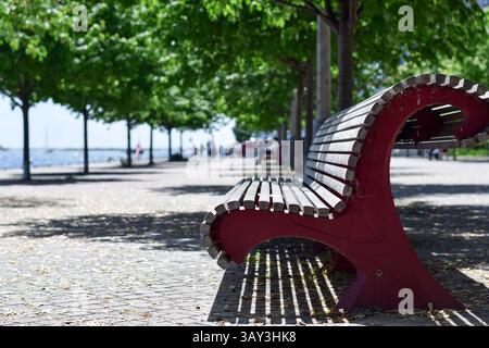 Un banc isolé vide au Toronto Waterfront Park par une journée ensoleillée en été Banque D'Images