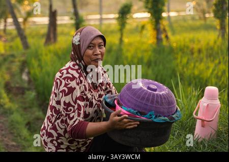 Une femme en tenue traditionnelle est assise dans un champ de riz indonésien luxuriant tenant des paniers. La lumière chaude du soleil améliore l'atmosphère rurale sereine, mettant en valeur Banque D'Images