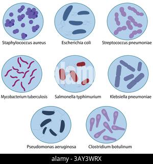 Ensemble d'illustration vectorielle de bactéries pathogènes Illustration de Vecteur