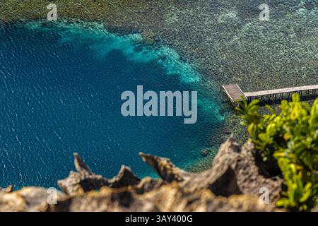 Vue d'en haut, cette image aérienne saisissante capture une jetée s'étendant dans un récif corallien richement coloré dans les eaux claires de Raja Ampat, en Indonésie. Banque D'Images